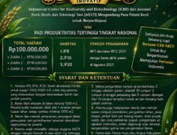 ICBB dan AB2TI Ajak Petani Kecil Buktikan Inovasi Budidaya Padi lewat Kompetisi Nasional